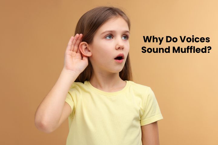 Why Do Voices Sound Muffled?